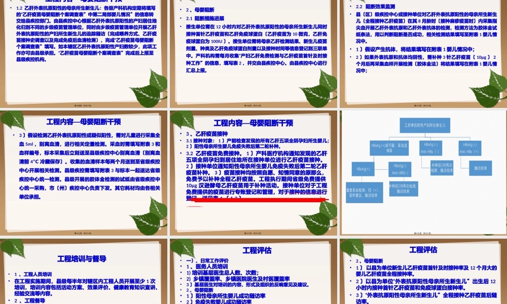 乙肝母婴阻断项目.pptx