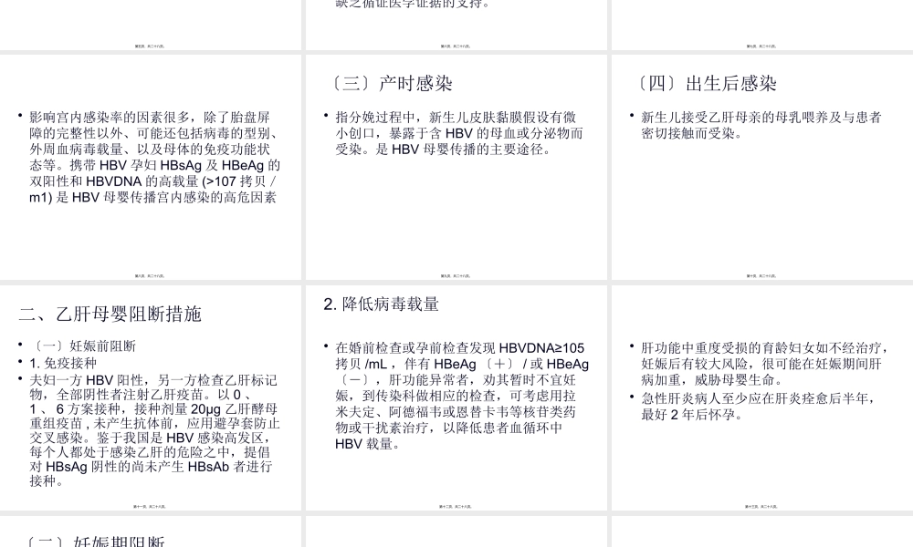 乙肝母婴阻断.pptx