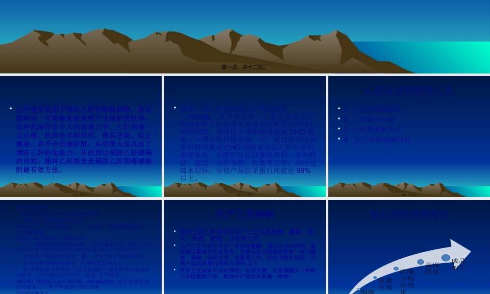 乙肝疫苗的生产工艺.pptx