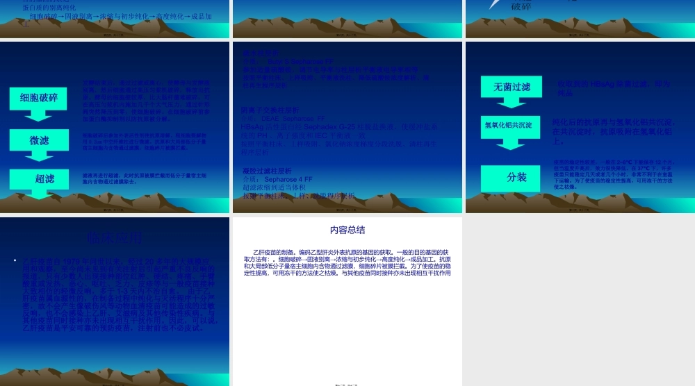 乙肝疫苗的生产工艺.pptx