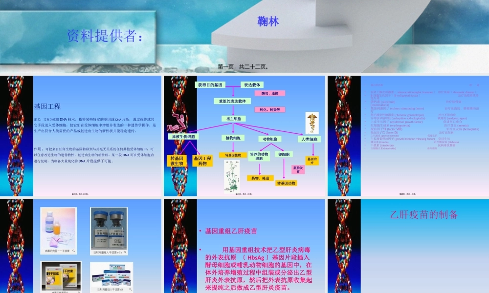 乙肝疫苗的制备.pptx