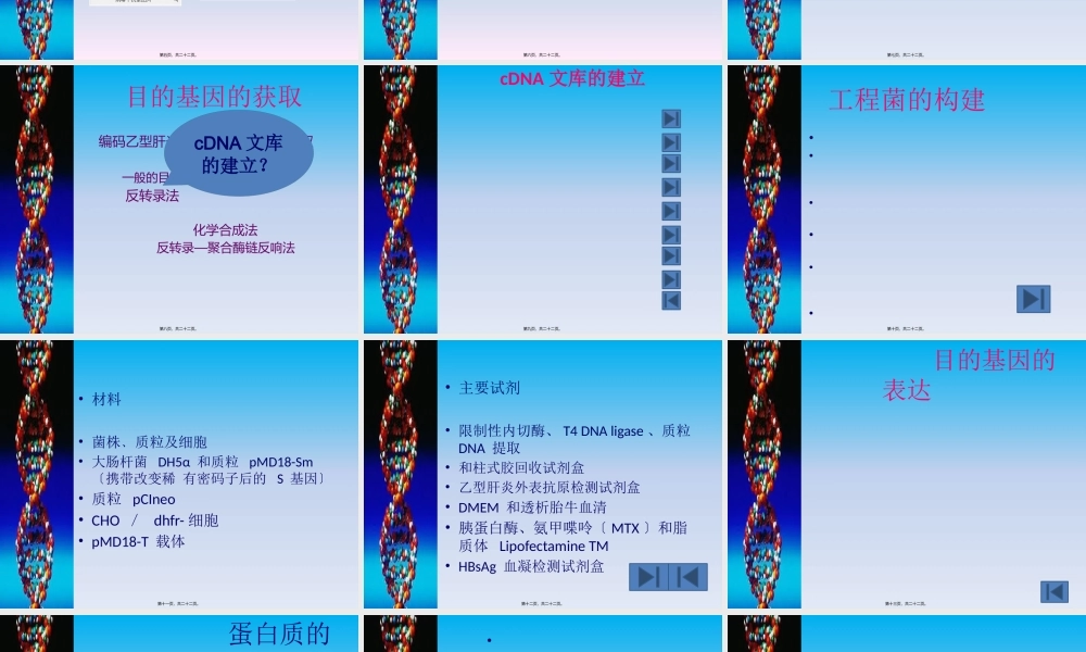 乙肝疫苗的制备.pptx