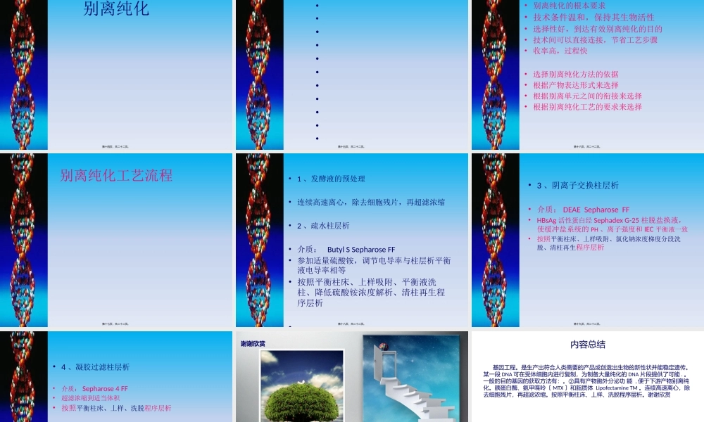 乙肝疫苗的制备.pptx