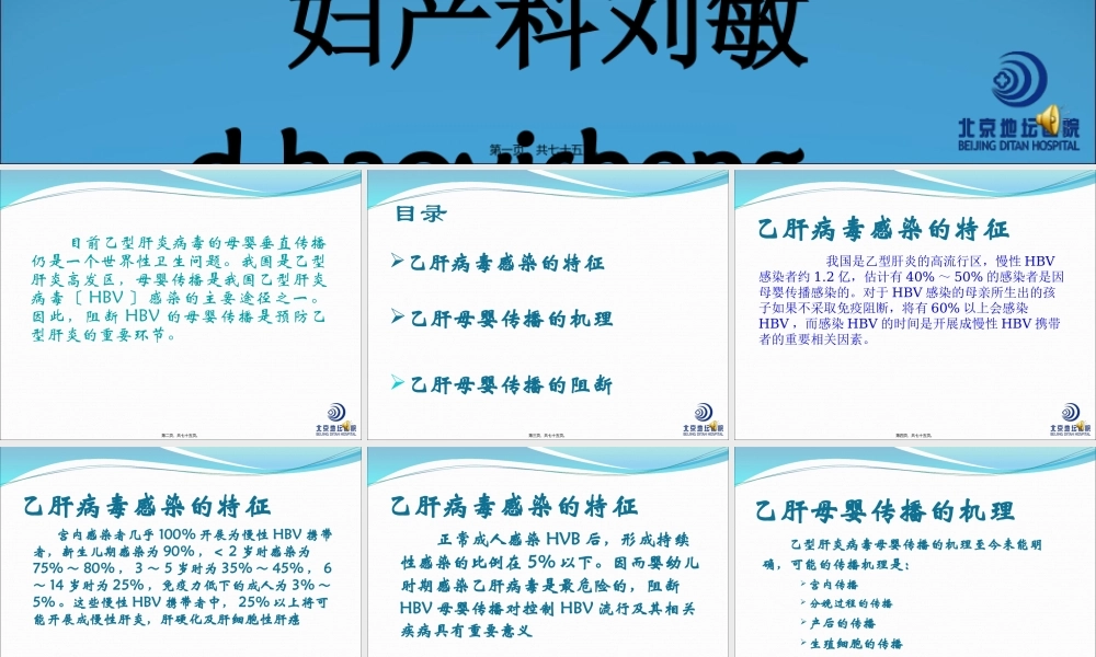 乙肝的母婴传播的阻断-北京地坛医院.pptx