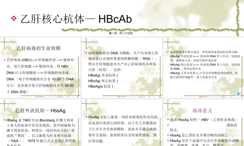 乙肝相关抗原与抗体.pptx