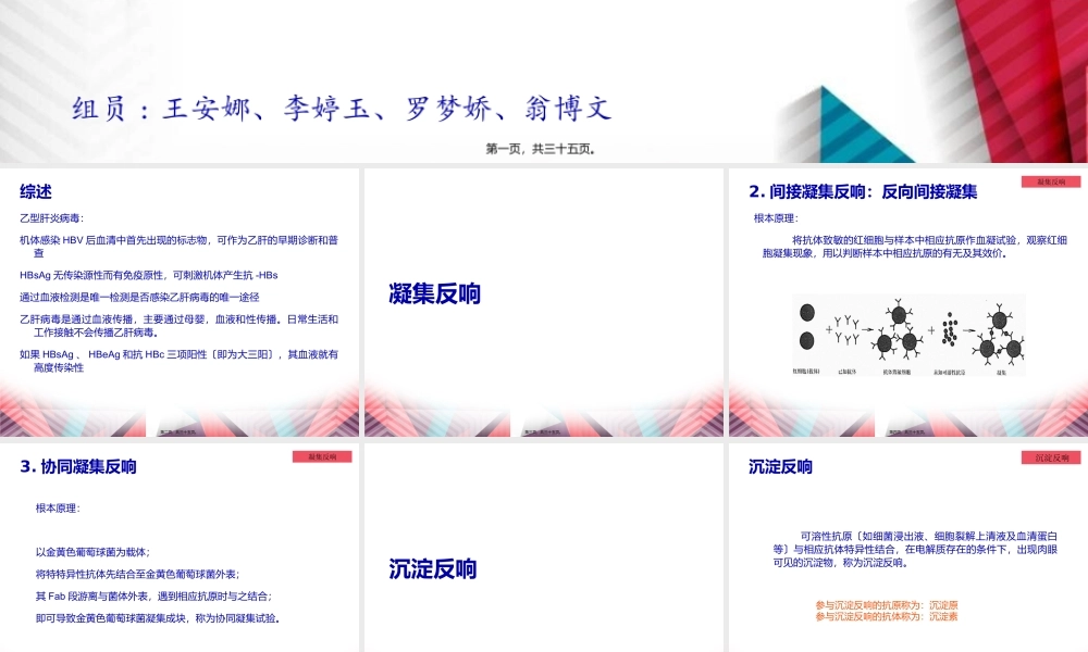 乙肝表面抗原测定.pptx