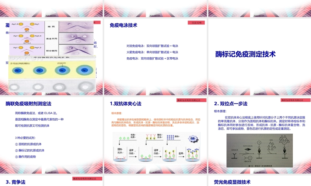 乙肝表面抗原测定.pptx