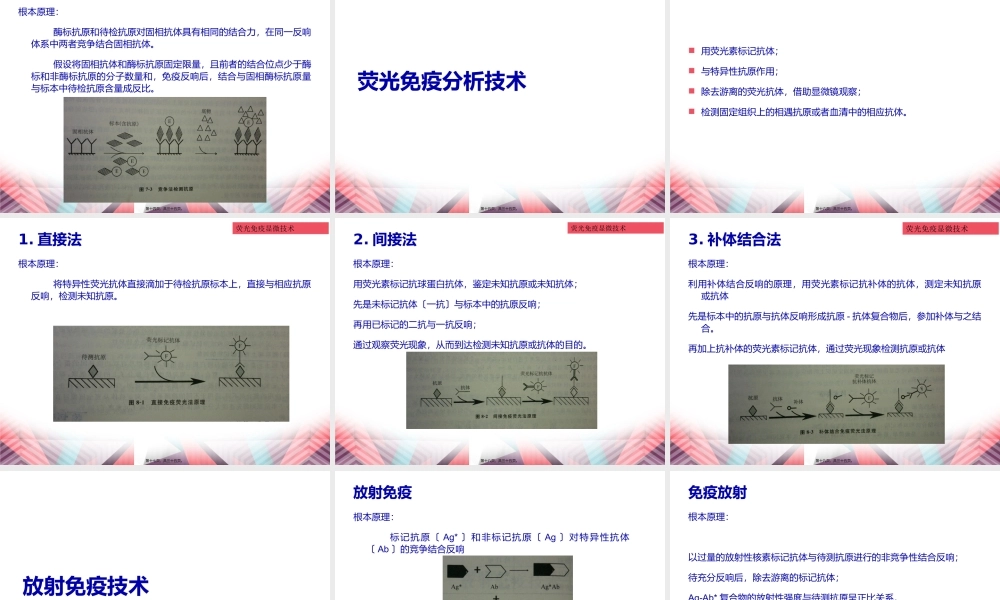 乙肝表面抗原测定.pptx