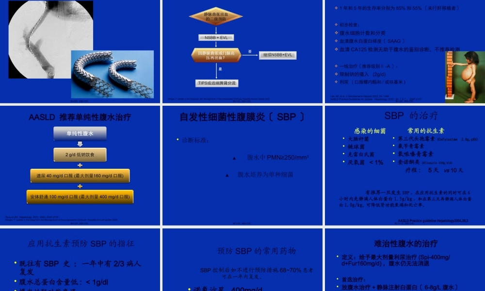 乙肝肝硬化并发症的处理.pptx