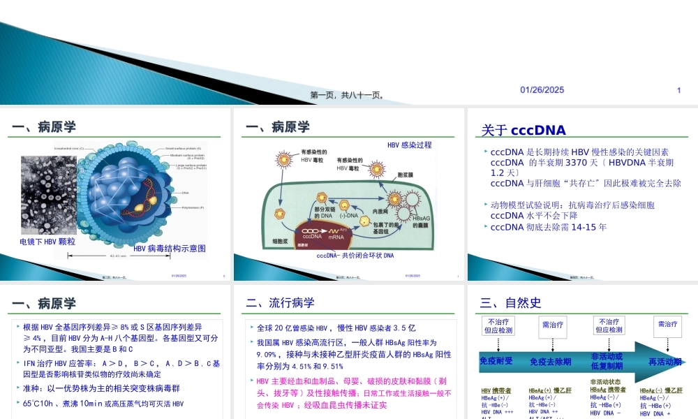 乙肝防治指南经典版要点.pptx