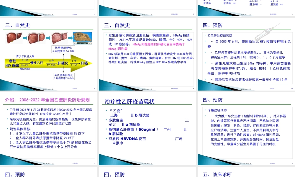 乙肝防治指南经典版要点.pptx