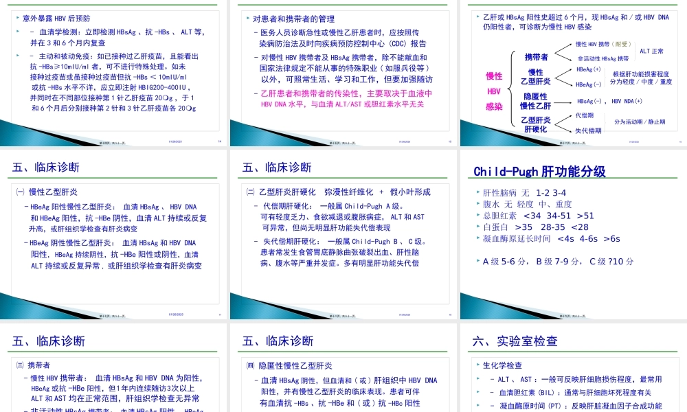 乙肝防治指南经典版要点.pptx