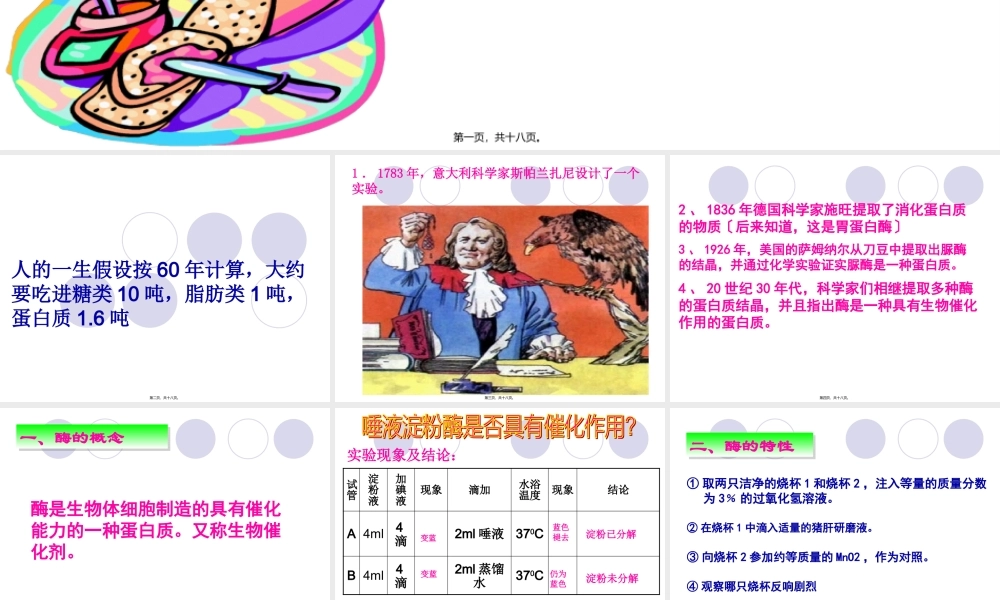 九上4.2.2食物的消化及吸收酶.pptx