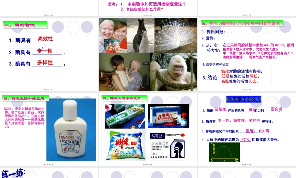 九上4.2.2食物的消化及吸收酶.pptx