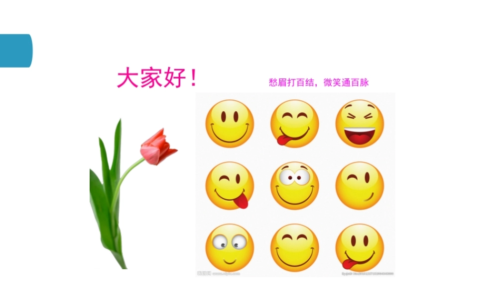 书绢讲掌纹--二--脏腑对应图.ppt