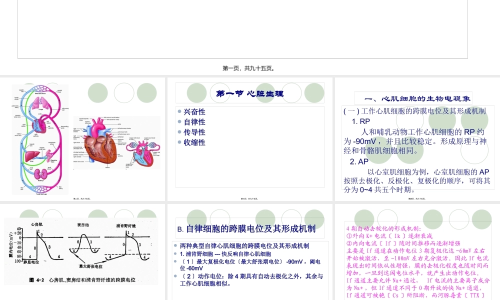 九章血液循环-PPT文档资料.pptx