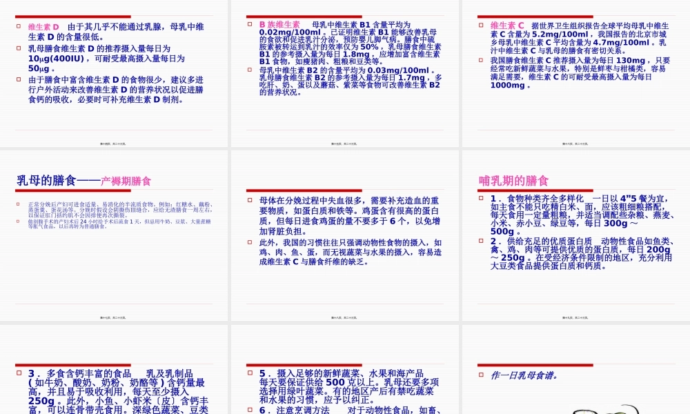 乳母营养与膳食.pptx