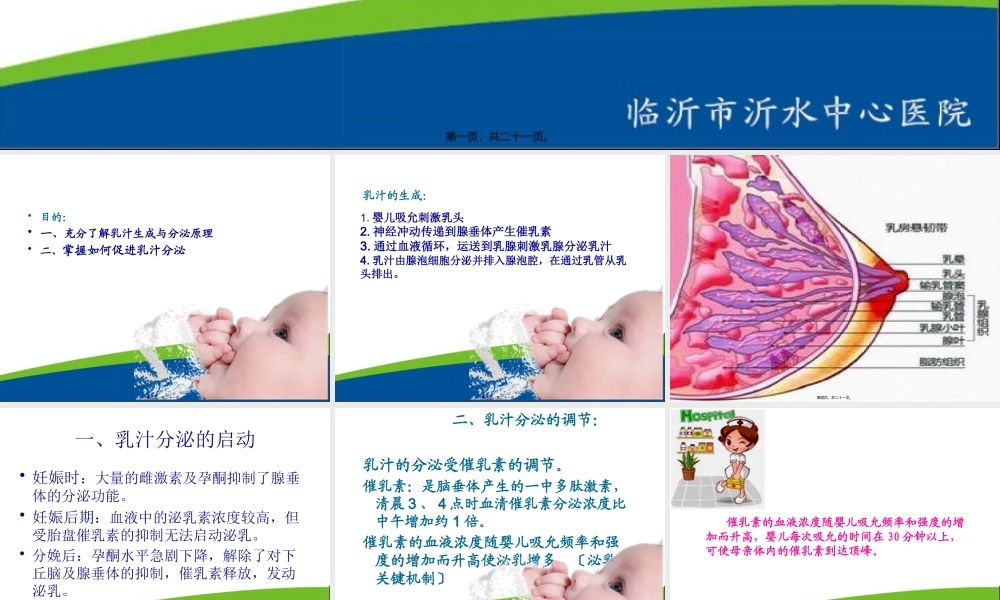 乳汁的生成与分泌.pptx