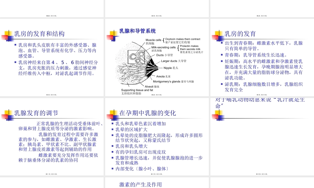 乳汁的产生和分泌.pptx