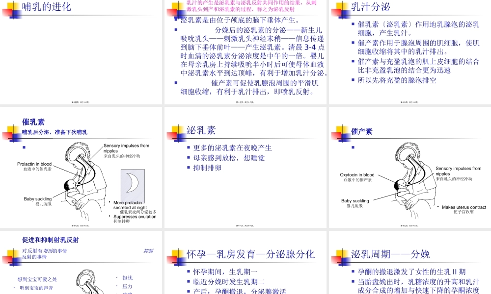 乳汁的产生和分泌.pptx