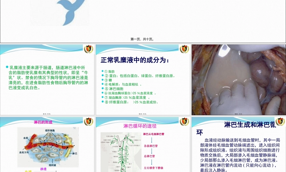 乳糜液的成分与性状--淋巴的产生及循环.pptx