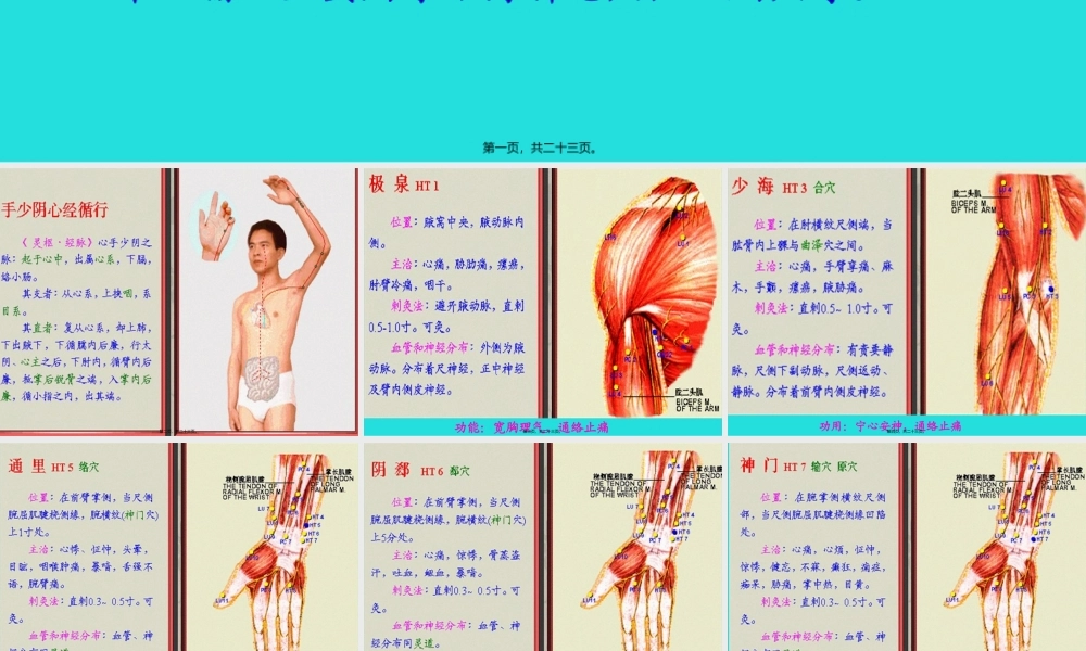 五、手少阴心经-该经经脉循行所联络的脏腑器官有心、小肠、肺讲解.pptx