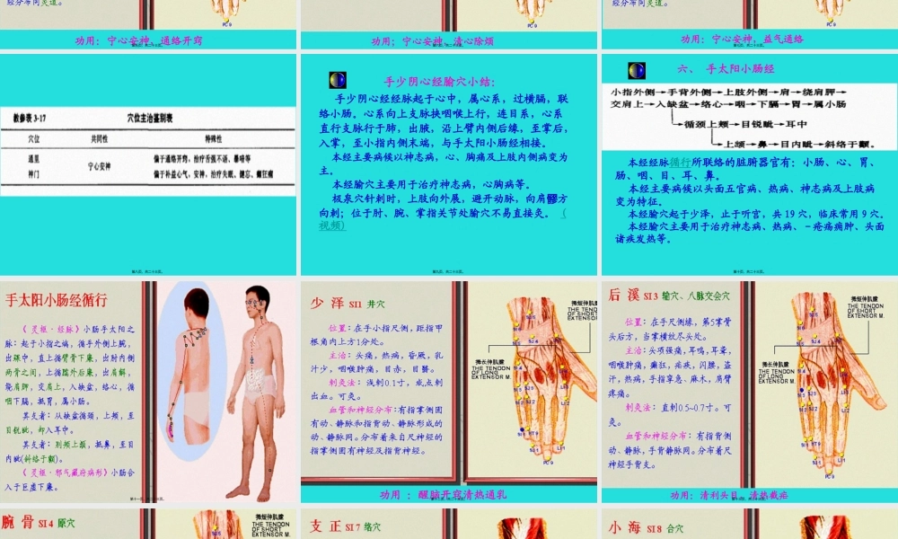 五、手少阴心经-该经经脉循行所联络的脏腑器官有心、小肠、肺讲解.pptx