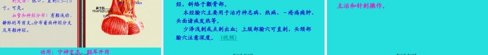 五、手少阴心经-该经经脉循行所联络的脏腑器官有心、小肠、肺讲解.pptx