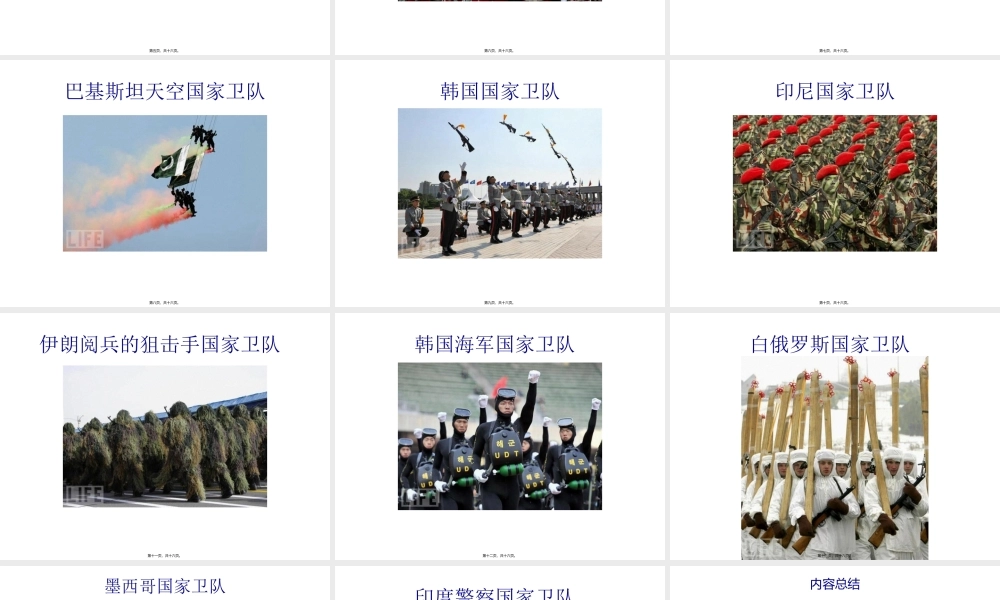 五花八门让人捧腹大笑的各国卫队.pptx