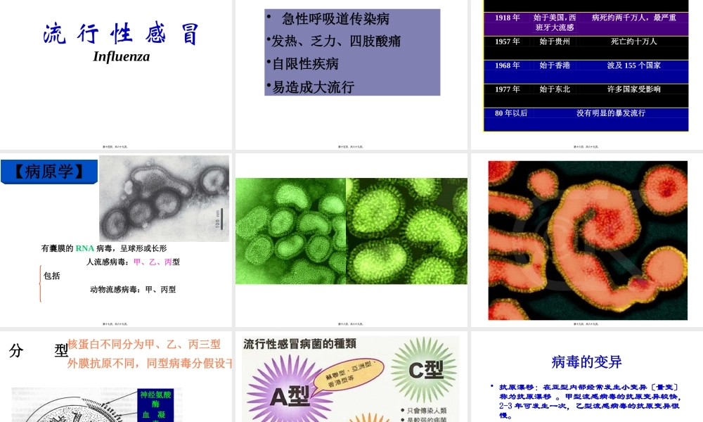 五、常见的各类传染病.pptx
