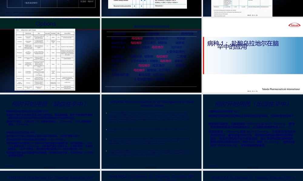 亚宁定急症应用循证.ppt