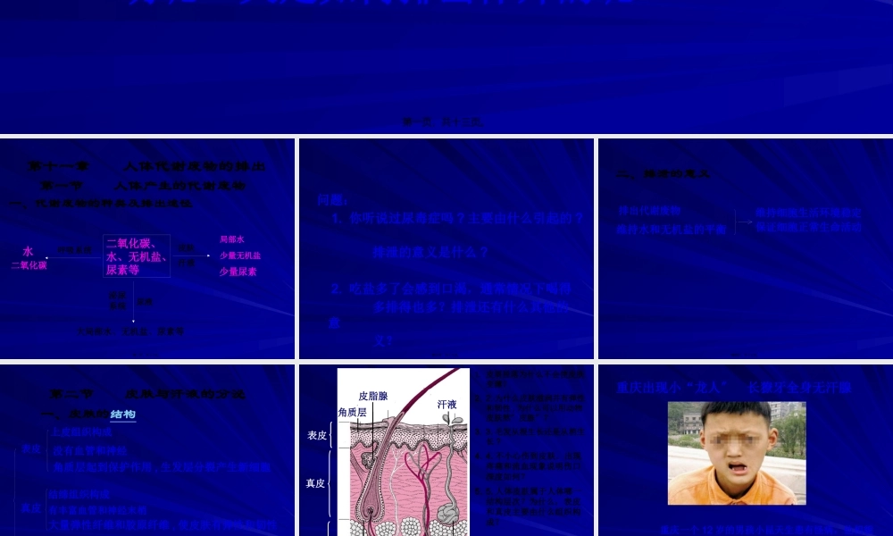 人体产生的代谢废物.pptx