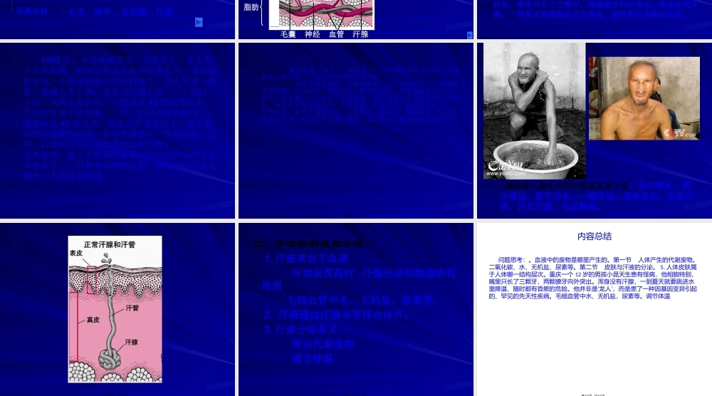 人体产生的代谢废物.pptx