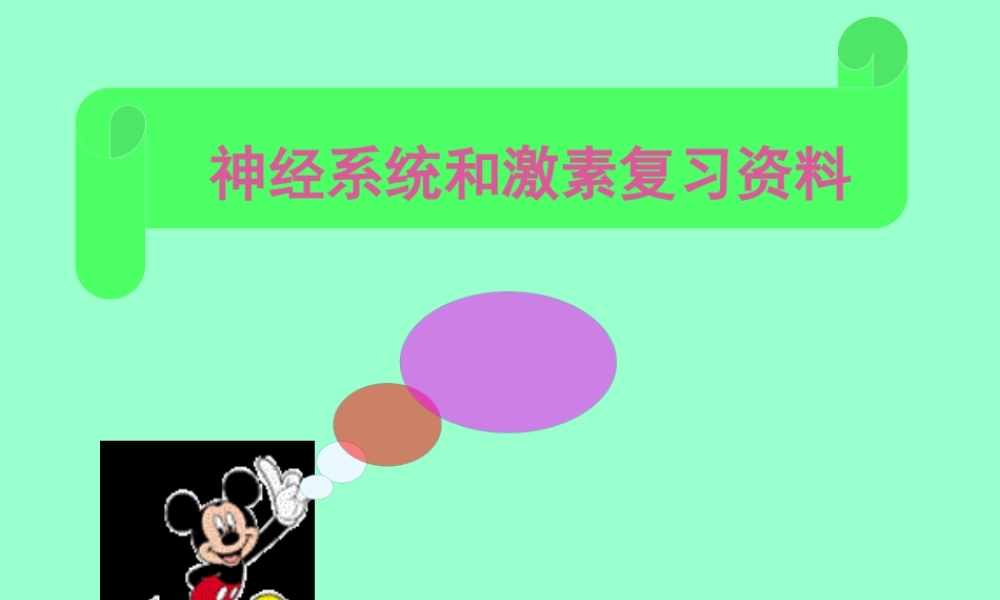 人体的自我调节.pptx