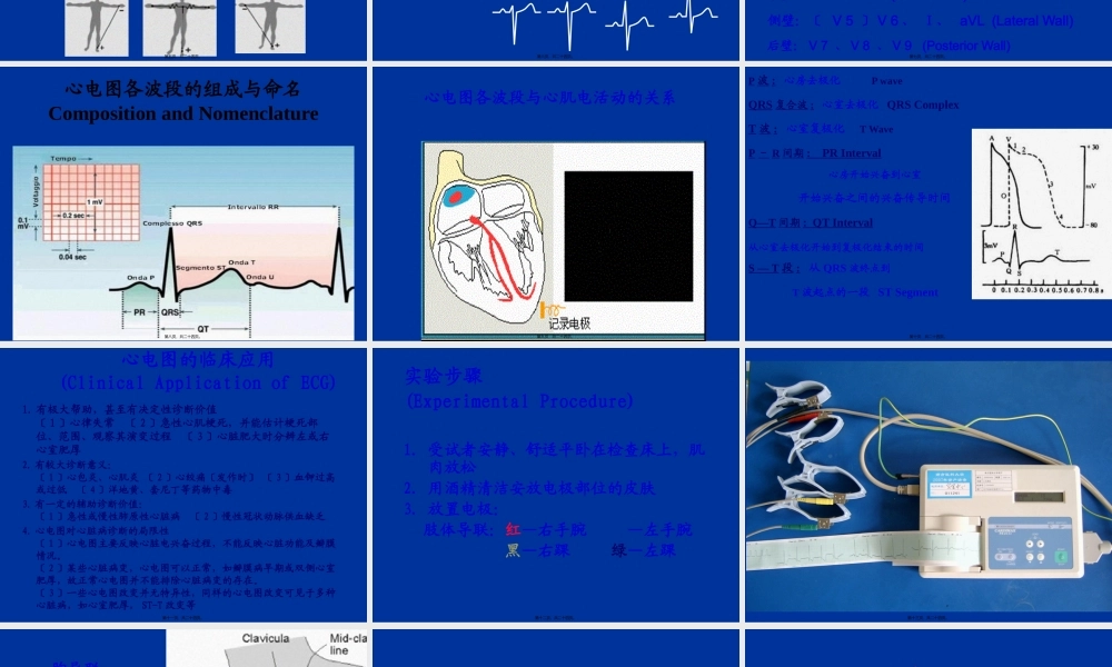 人体心电图及血压测量-zhou.pptx