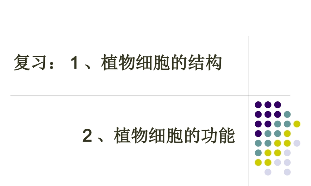 人和动物细胞的结构与功能.pptx