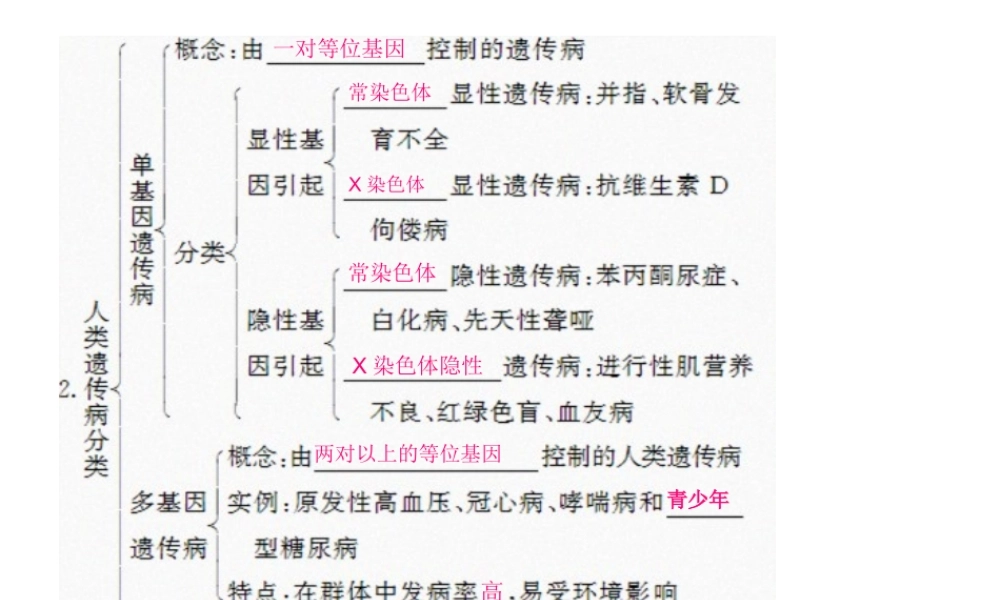 人类的遗传病---一轮复习.pptx