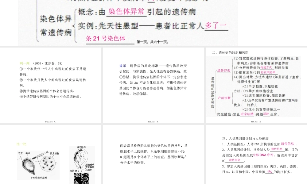 人类的遗传病---一轮复习.pptx