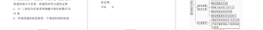 人类的遗传病---一轮复习.pptx