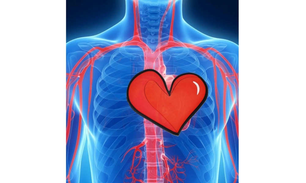 人教版二年级美术-第八课《叶子上的小血管》.pptx