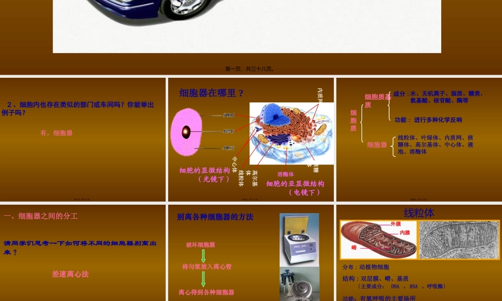 人教版必修一第三章第二节细胞器系统内的分工和合作共张PPT.pptx
