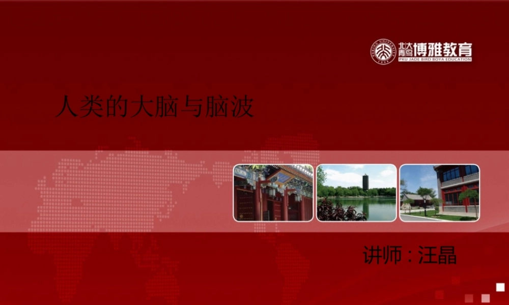 人类的大脑与脑波.ppt