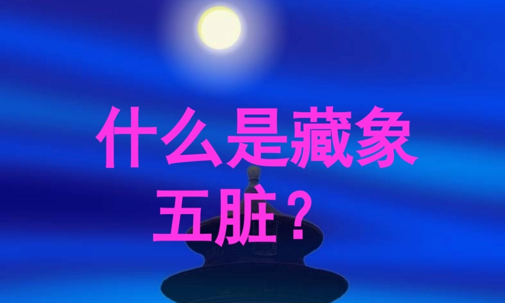 什么是藏象五脏？.pptx