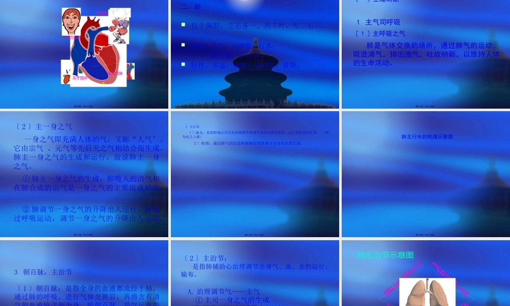 什么是藏象五脏？.pptx