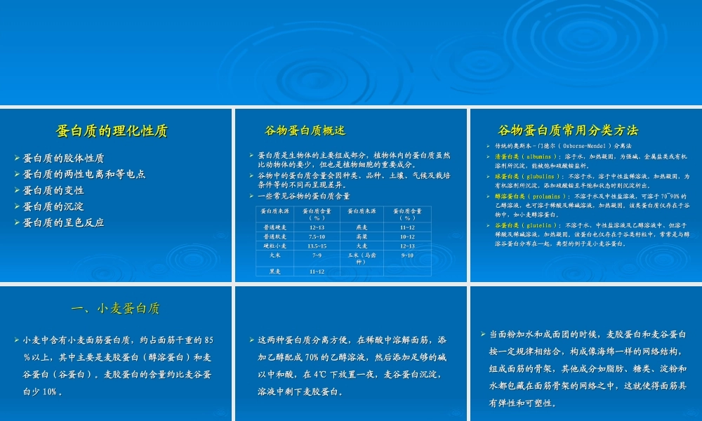 介绍谷物蛋白质.ppt