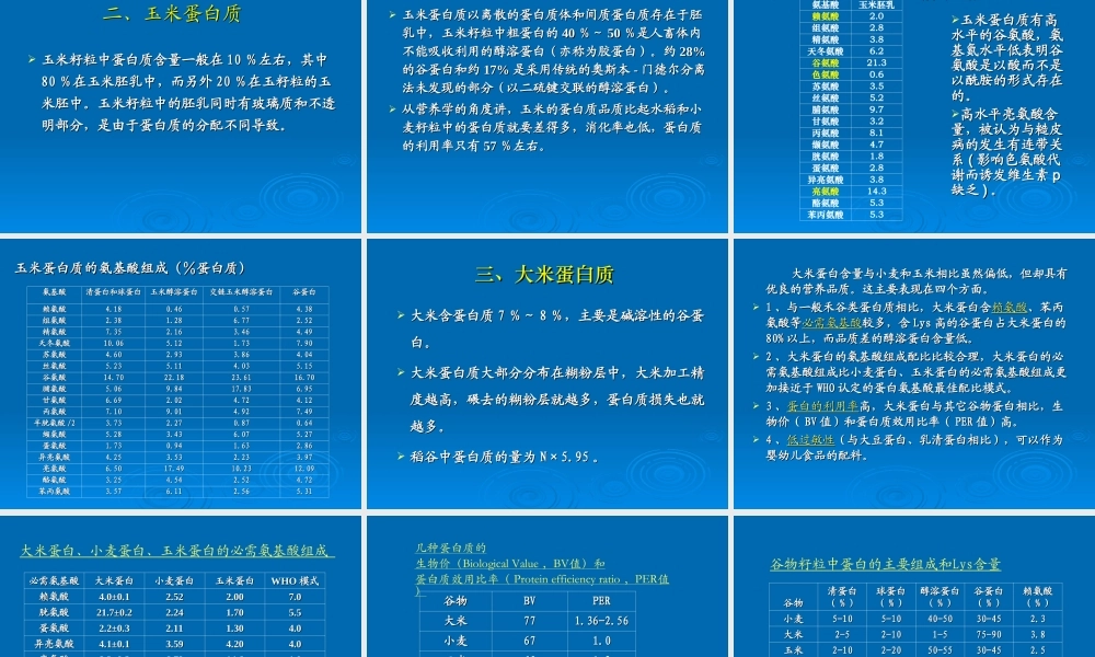 介绍谷物蛋白质.ppt