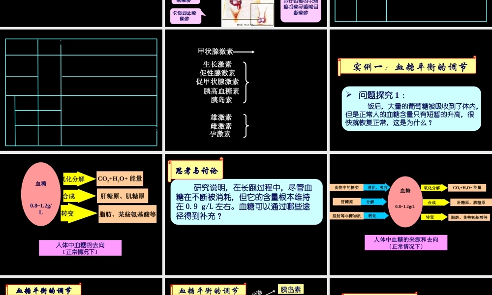 从而使血糖含量降低胰岛B细胞分泌胰岛素胰岛A细胞分泌胰高血糖素.pptx