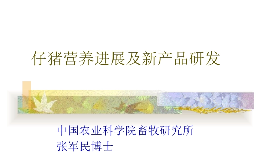 仔猪营养知识.pptx