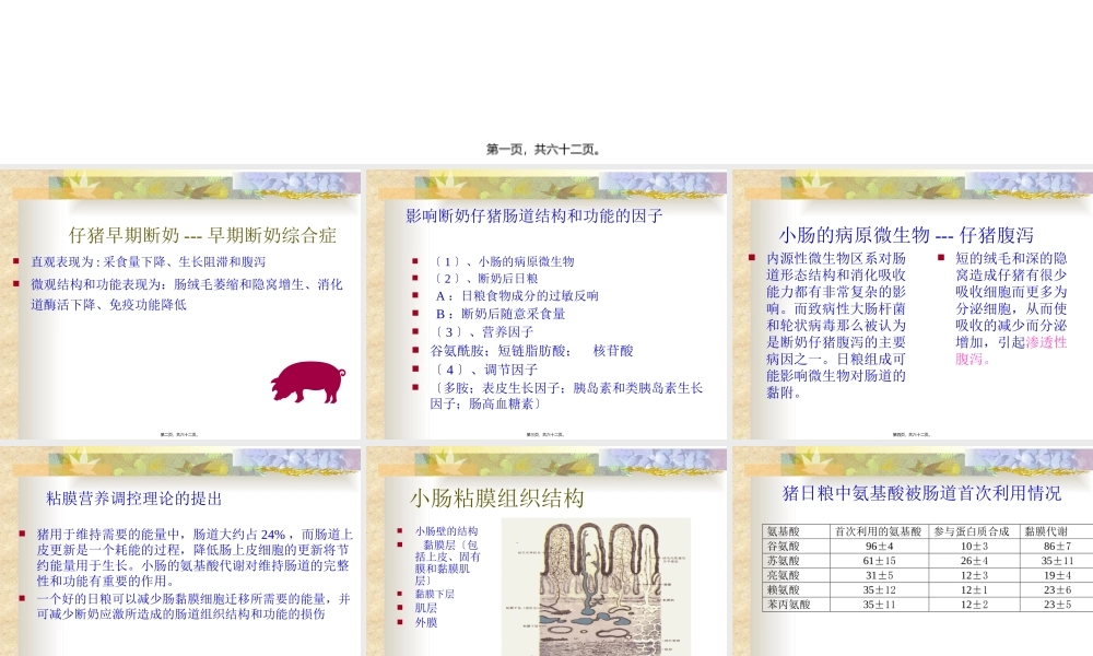 仔猪营养知识.pptx