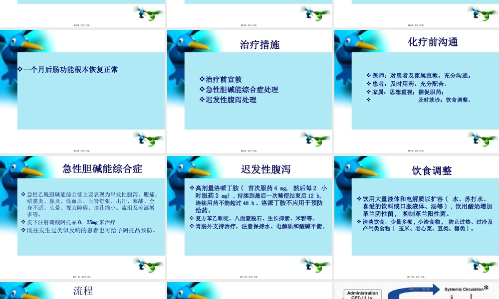 伊立替康腹泻的处理---改.pptx